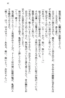 桜の咲く頃、僕は妹と再会する。, 日本語