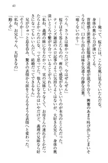 桜の咲く頃、僕は妹と再会する。, 日本語