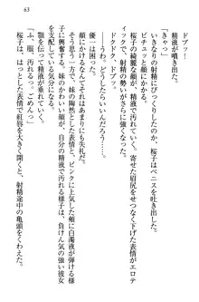 桜の咲く頃、僕は妹と再会する。, 日本語