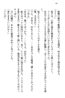 桜の咲く頃、僕は妹と再会する。, 日本語