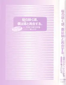 桜の咲く頃、僕は妹と再会する。, 日本語