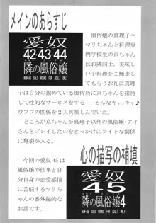 愛奴 45 隣の風俗嬢 4, 日本語