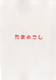 らくがきのーと, 日本語