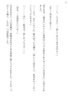 座敷童の掟 外伝 資料 伊奈澤聡美の書簡, 日本語