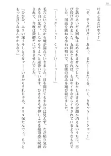 座敷童の掟 外伝 資料 伊奈澤聡美の書簡, 日本語