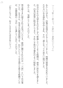 座敷童の掟 外伝 資料 伊奈澤聡美の書簡, 日本語