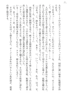 聖母天使マリエル ハウンティングメモリー, 日本語