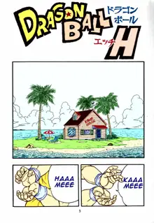 DragonBall H Maki San, English