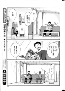 ひるがお 第1-2, 4, 14-40話, 日本語