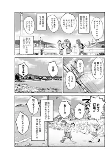 ひるがお 第1-2, 4, 14-40話, 日本語