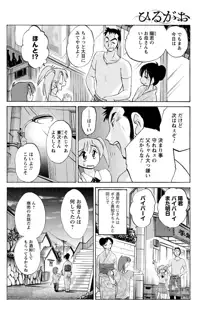 ひるがお 第1-2, 4, 14-40話, 日本語