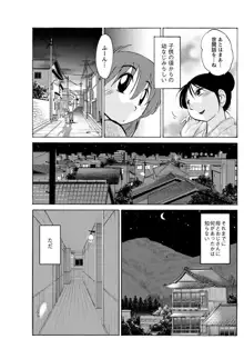 ひるがお 第1-2, 4, 14-40話, 日本語