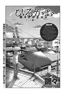 ひるがお 第1-2, 4, 14-40話, 日本語