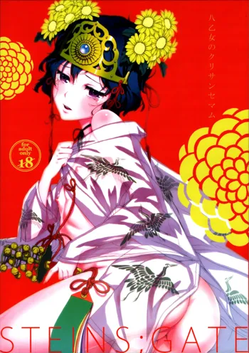 Yaotome no Chrysanthemum, English