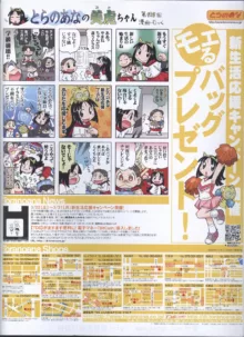 Dengeki Hime 2008-05, 日本語