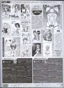 Dengeki Hime 2008-07, 日本語