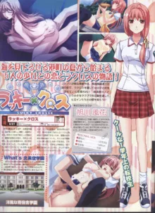 Dengeki Hime 2008-07, 日本語