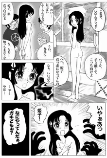 うわさのお姫さま～HIMEKO in the WRONG World～, 日本語