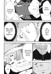 Botan to Sakura | 모란과 벚꽃, 한국어