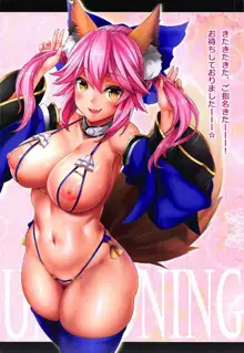 Fate/Lewd Summoning, 日本語