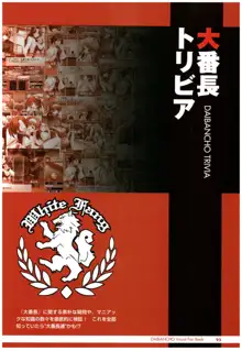 大番長 ビジュアルファンブック, 日本語