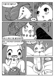 Poor Chikorita -1-, 한국어