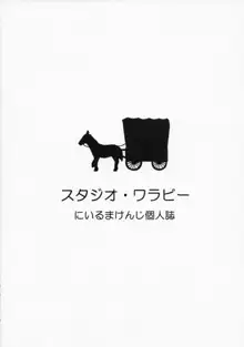 ミネアマーニャ馬車の旅, 日本語