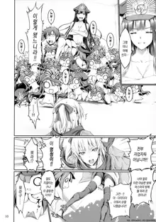 Chaldea no Erohon | 칼데아의에로책, 한국어