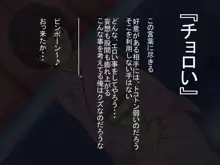 チョロい!?弄ばれる年下の先輩, 日本語