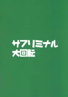 忠犬きよひーといっしょ！, 日本語