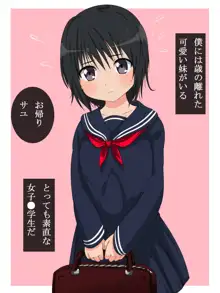 無口で純真な妹を孕ませる, 日本語