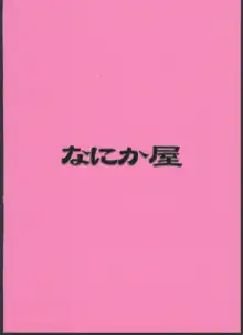 えーりんがコワイ, 日本語