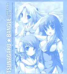 Tsunagaru Bangle - Visual Fan Book, 日本語