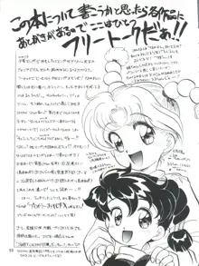 ひめこと☆ひめごと, 日本語