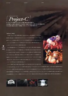 Kishin_Houkou_Demonbane_Visual_Fan_Book, 日本語