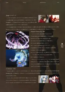 Kishin_Houkou_Demonbane_Visual_Fan_Book, 日本語