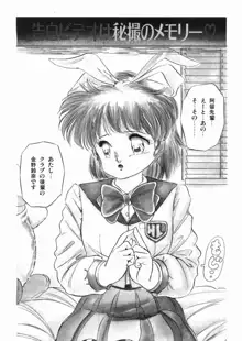 魅少女おゆうぎ会, 日本語