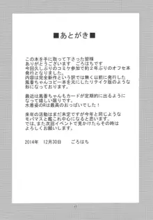 私としちゃいます？, 日本語