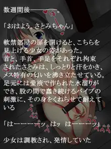 奴隷少女さとみ, 日本語