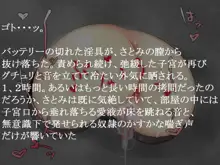 奴隷少女さとみ, 日本語