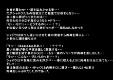 彼女たちが怪盗になった理由, 日本語