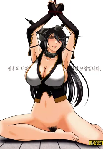 Sengo no Nagato wa Yokkyuufuman Mitai desu, 한국어