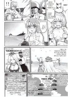 Teitoku no Ketsudan Zettai Kokubouken | 제독의 결단 절대국방권, 한국어