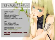 Hajimete no Alice, 中文