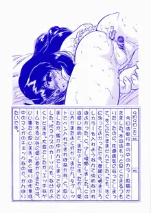 蜜色絵日記, 日本語