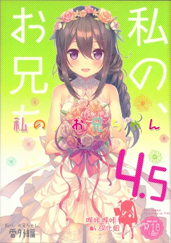 Watashi no, Onii-chan 4.5 Bangaihen, 中文