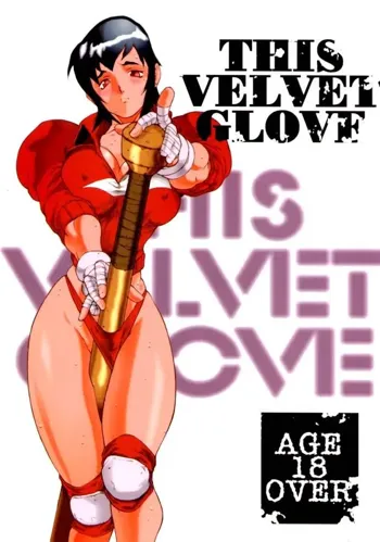 THIS VELVET GLOVE, 日本語