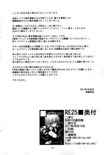 RE25, 中文