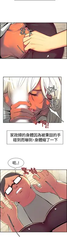 Domesticate the Housekeeper 调教家政妇 ch.1-28, 中文