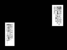 獣耳に人権はなくなりました, 日本語